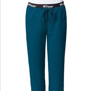 ISO GREYS ANATOMY BAHAMA/CARRIBEAN COLORED PANTS